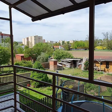 Lilly 36 * ズノイモ